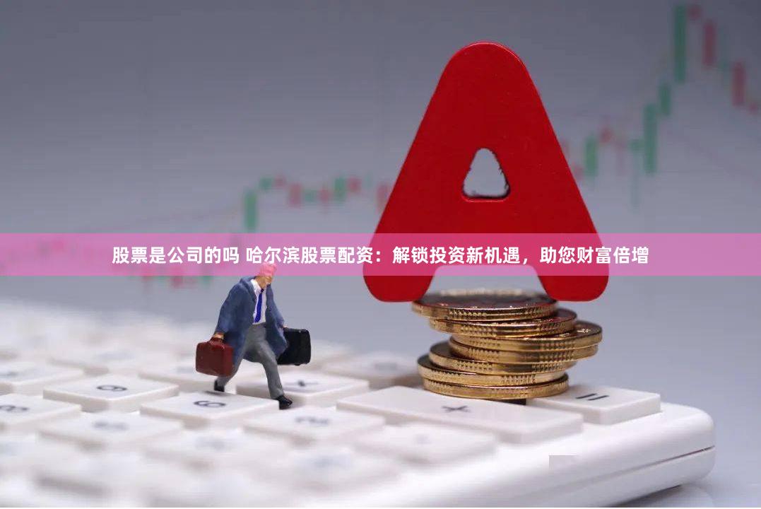 股票是公司的吗 哈尔滨股票配资：解锁投资新机遇，助您财富倍增