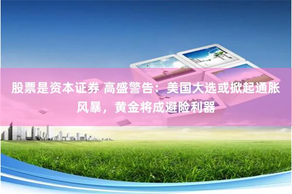 股票是资本证券 高盛警告：美国大选或掀起通胀风暴，黄金将成避险利器